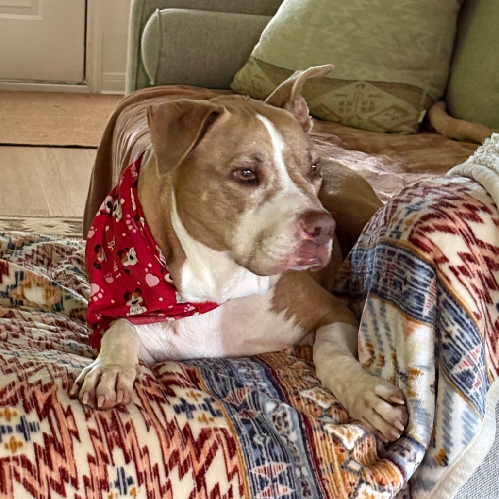 Woody, additional photo