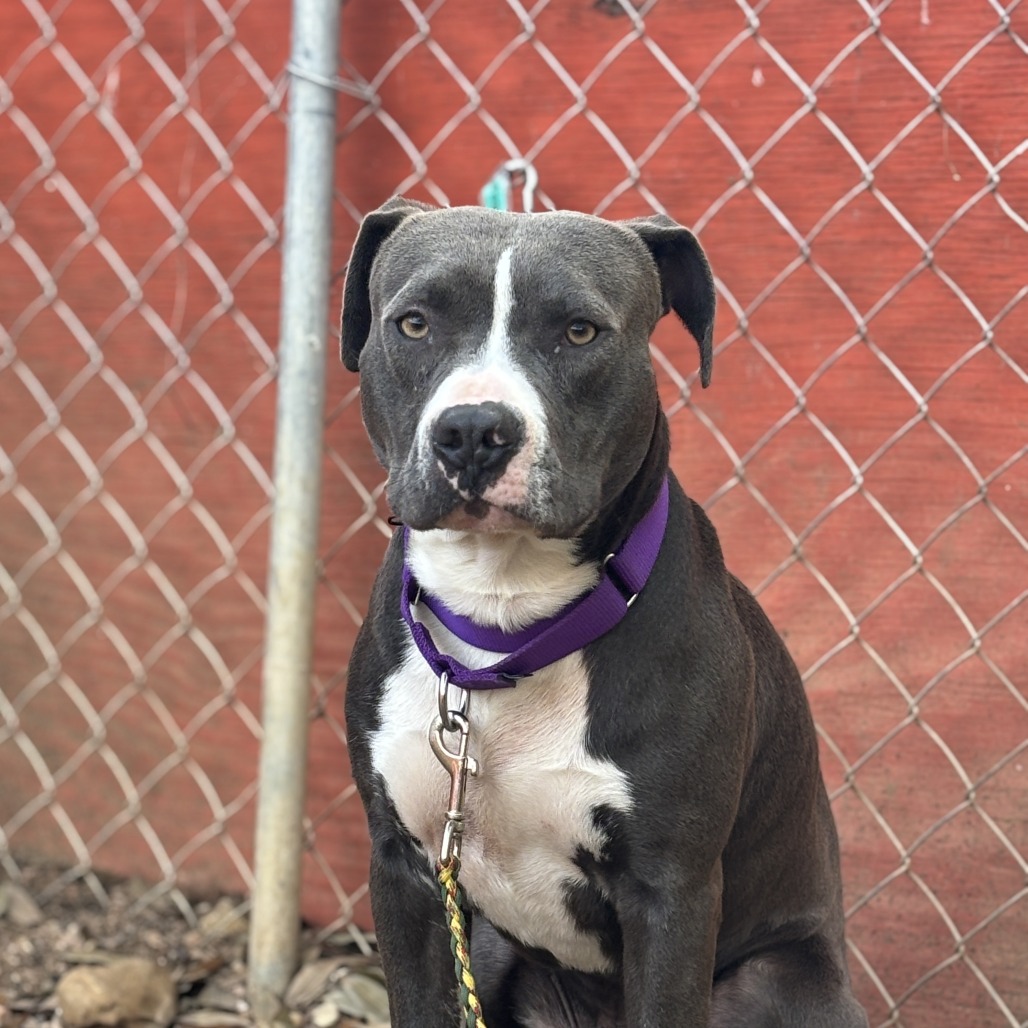 Moonbeam — thumbnail 8