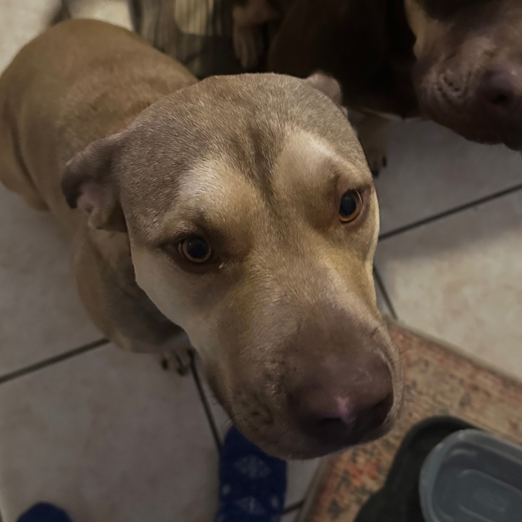Frida, photo 12