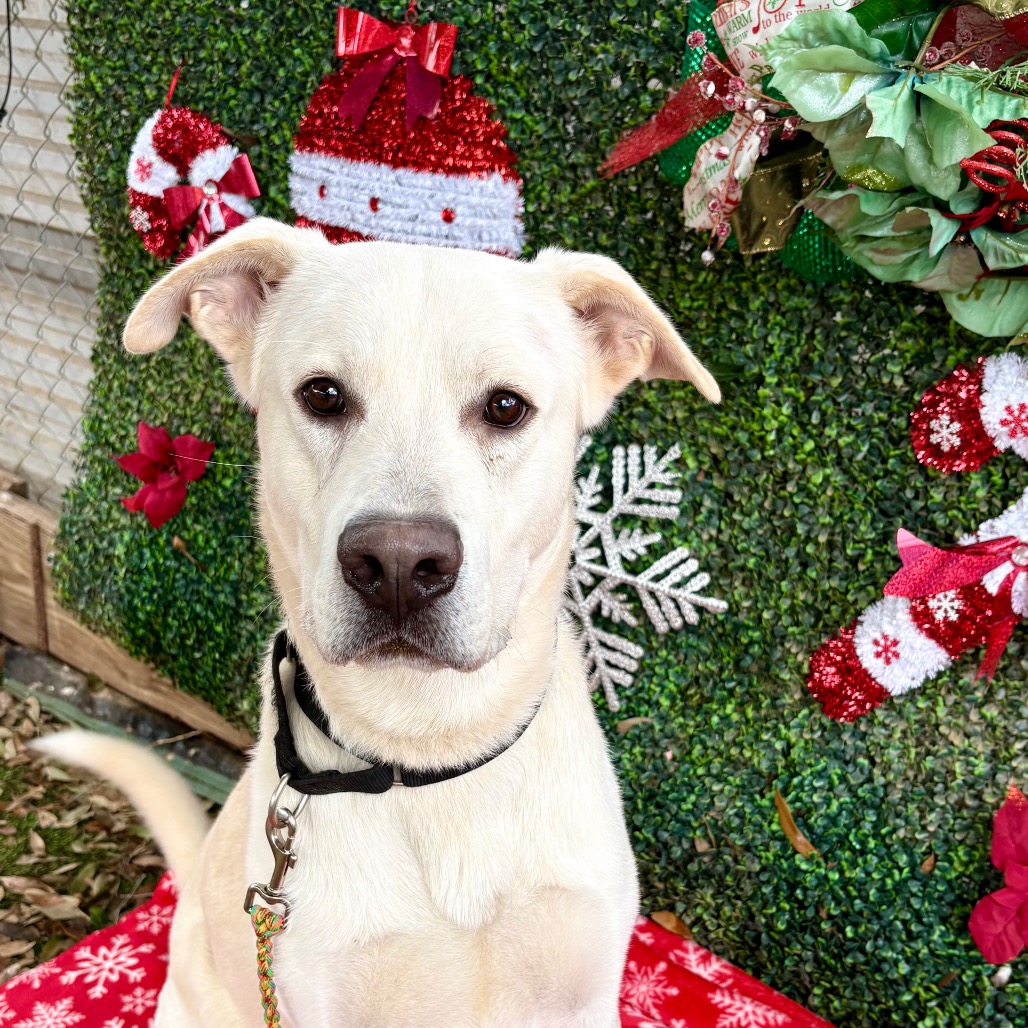 Autumn Equinox — thumbnail 8