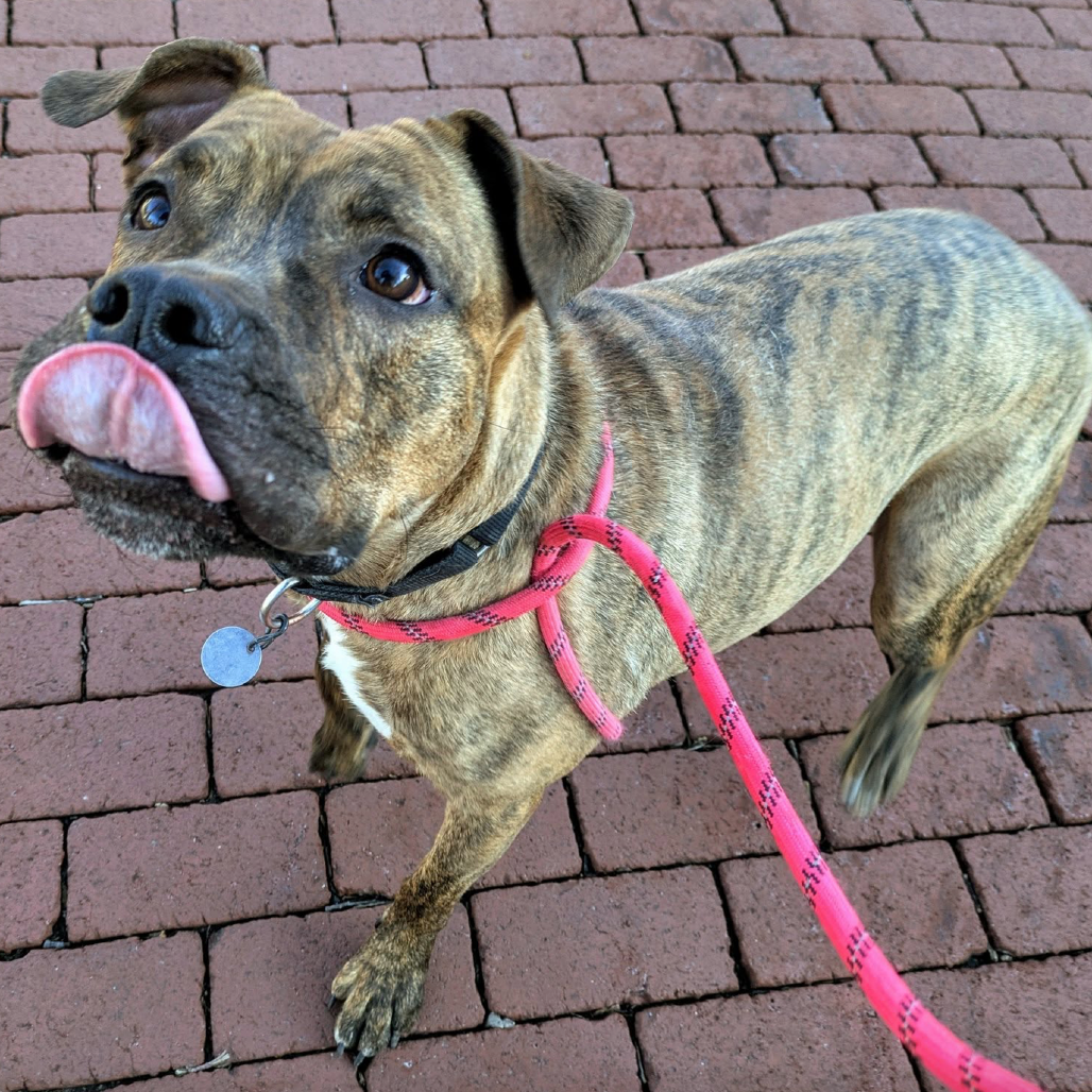 Jager — thumbnail 5