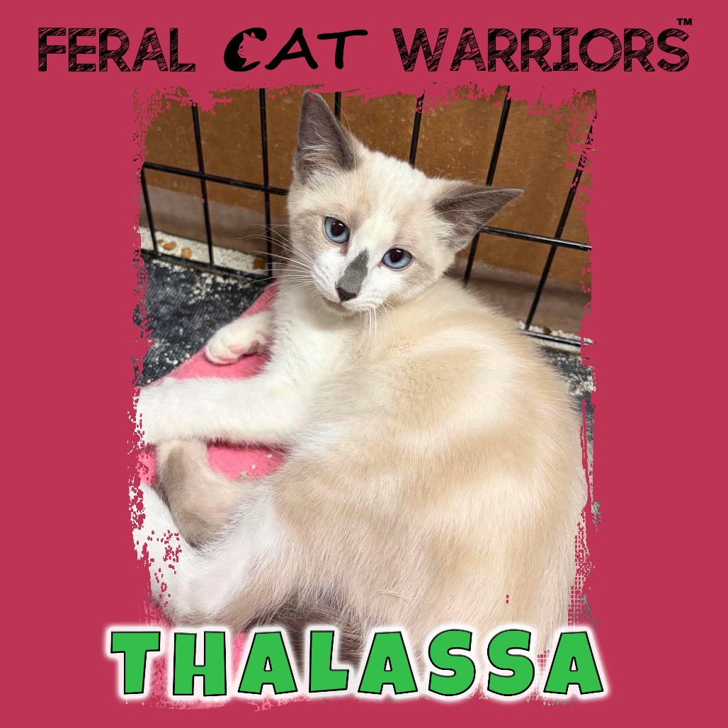 Thalassa