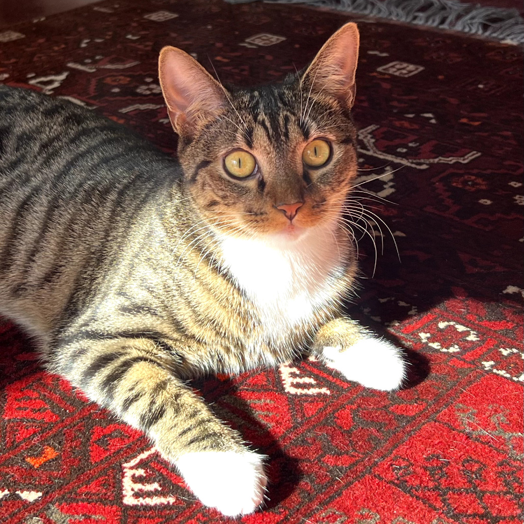 Minnie — thumbnail 2