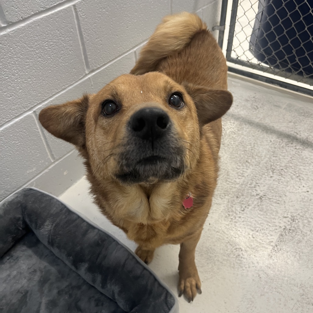 Torric — thumbnail 5