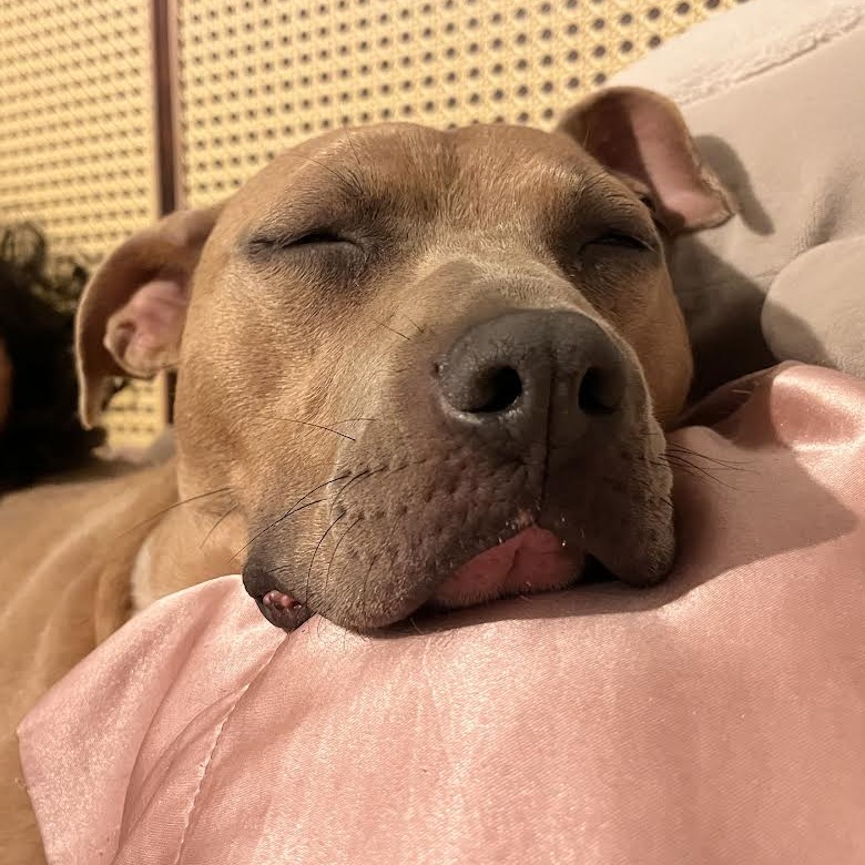 Nora — thumbnail 11