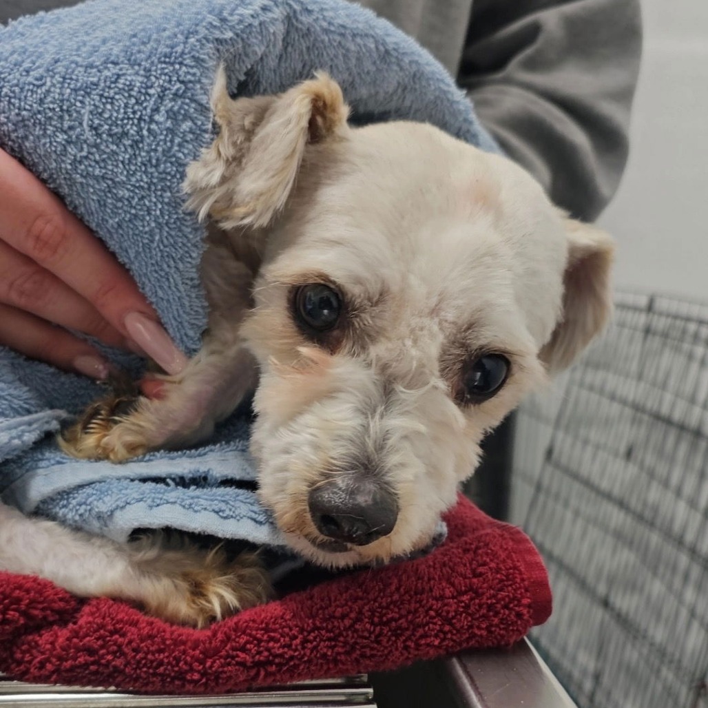 SANDERS — thumbnail 3