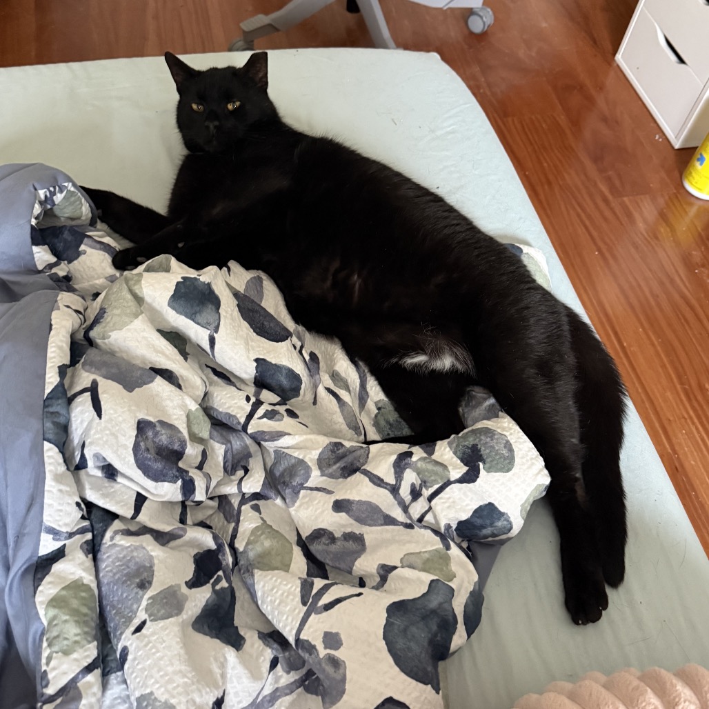 Lloyd — thumbnail 5