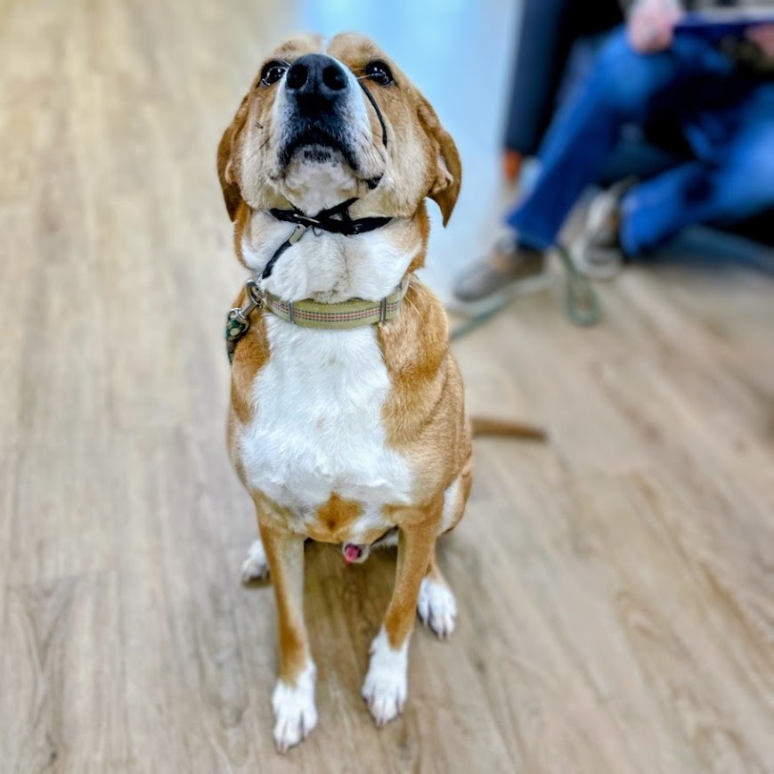 Marky Mark, "Gimbals" — thumbnail 5