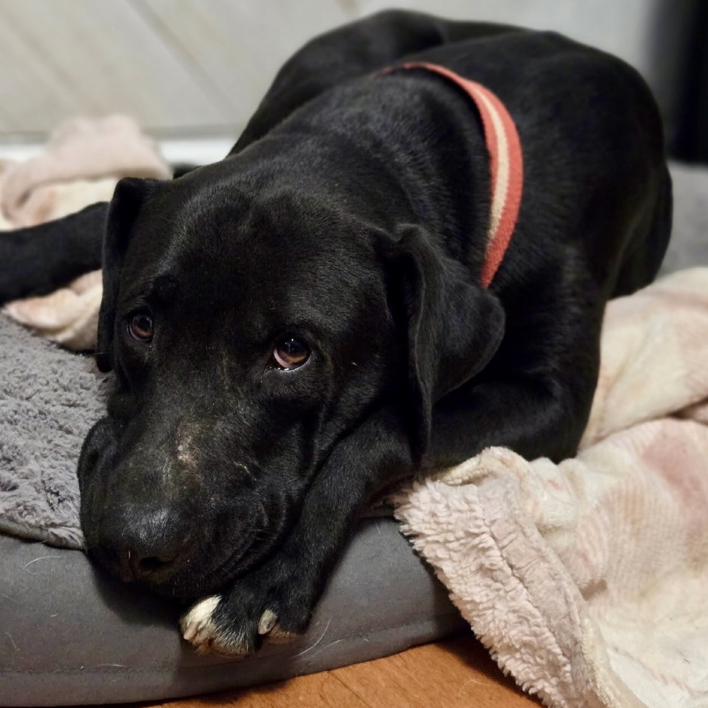 Emma Stone — thumbnail 3