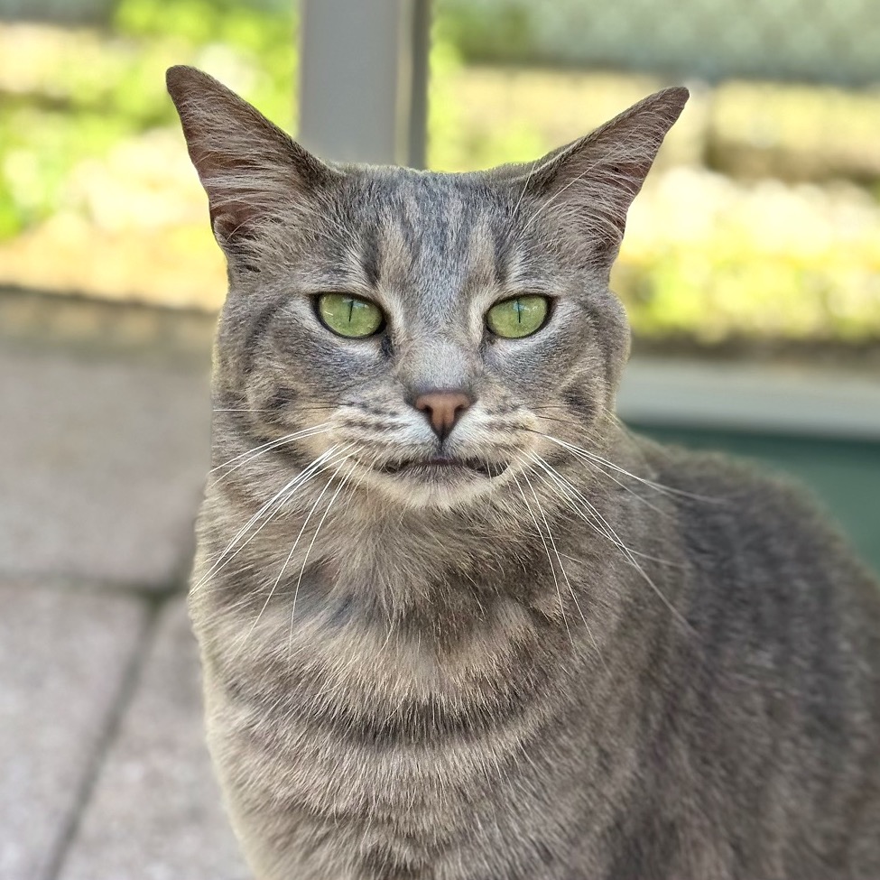 Another portrait of Avalon