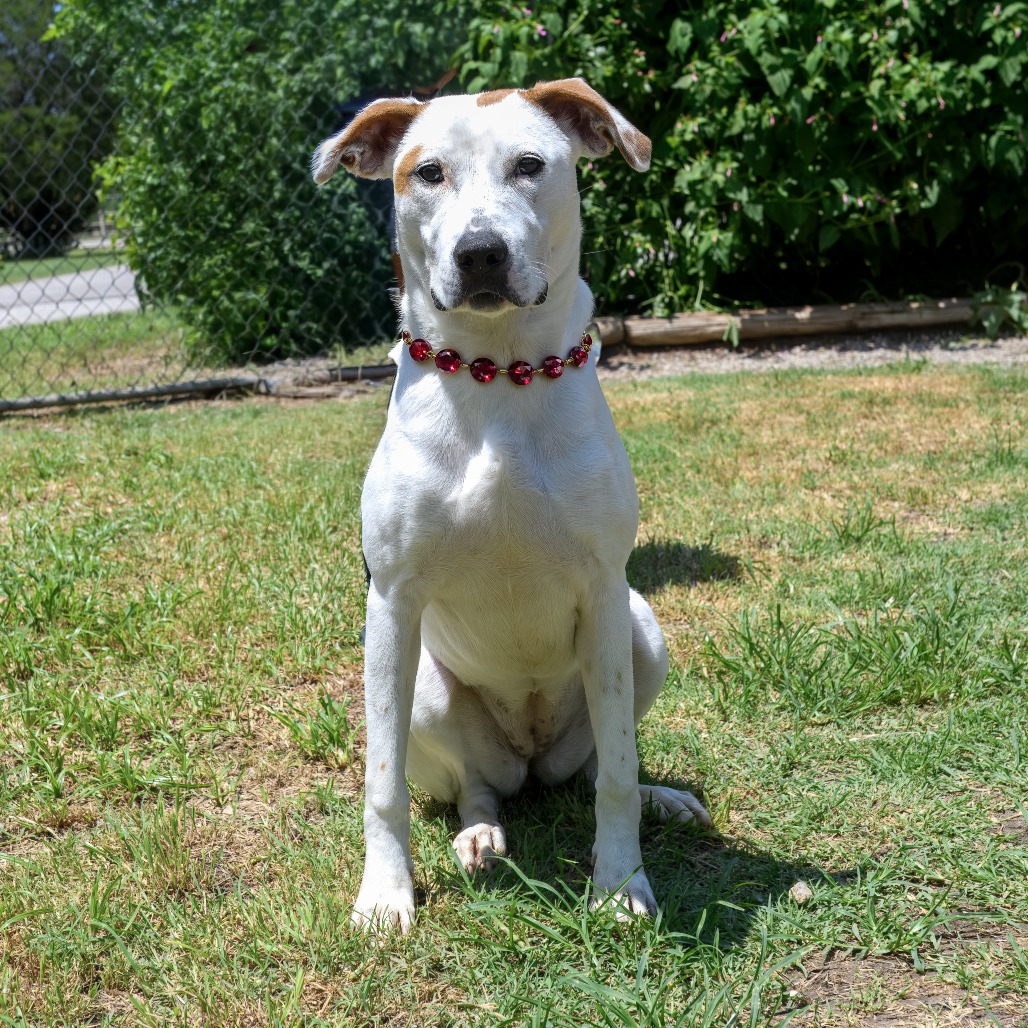 Photo of Laney