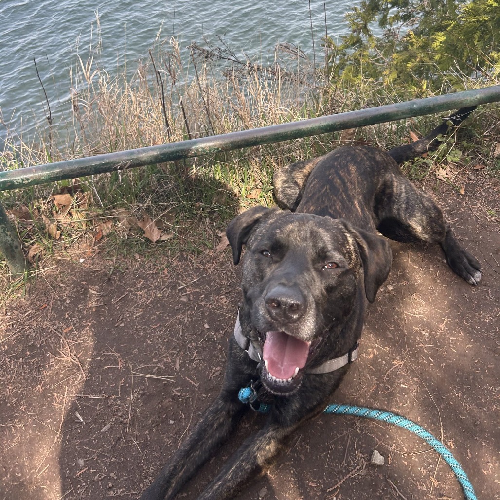Earl, photo 20