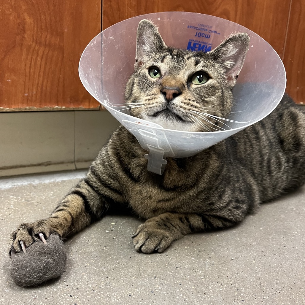 298762a03203b25415a3bf0f48c7564d