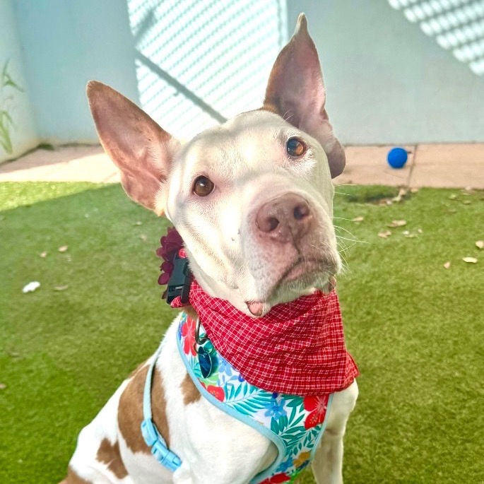 Photo of Faith playing