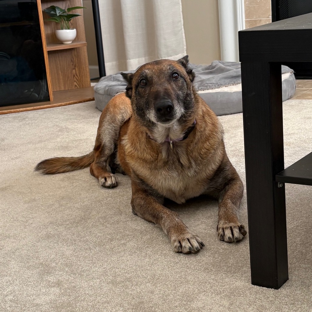 Big Momma — thumbnail 5