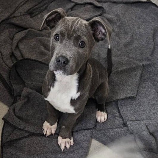  Kennel#22b's preview photo