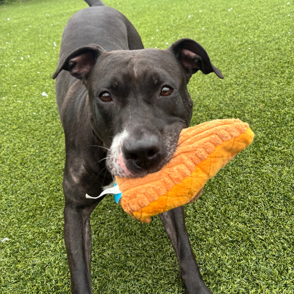 Photo of Ygritte  13