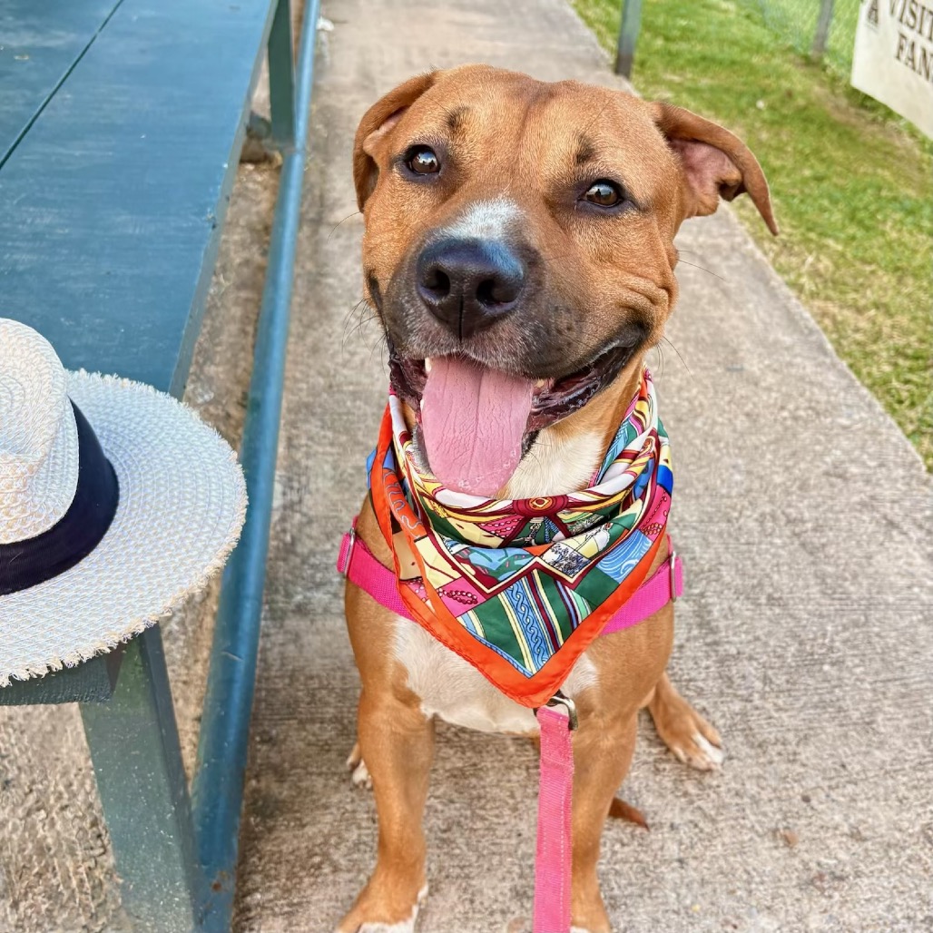 Tomlin — thumbnail 7