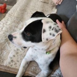 Lotty photo 26