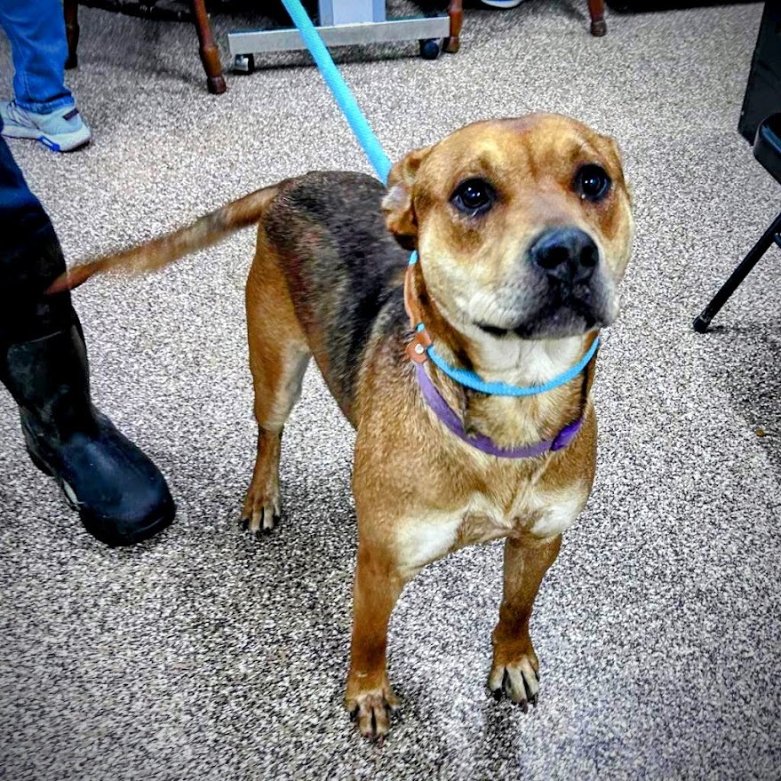 Randy — thumbnail 2