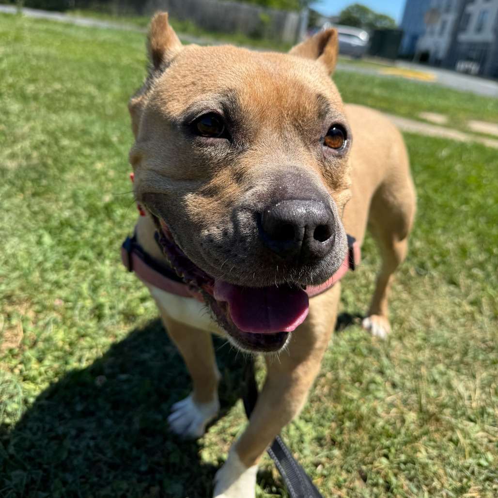 Lulu, additional photo