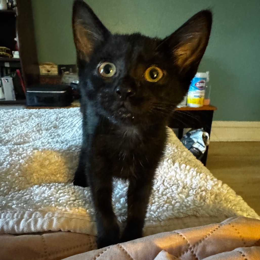 Photo of Splash