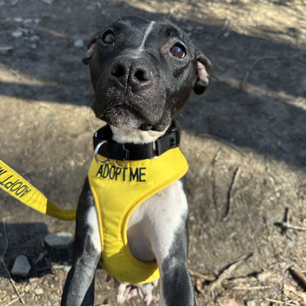 Daria — thumbnail 2