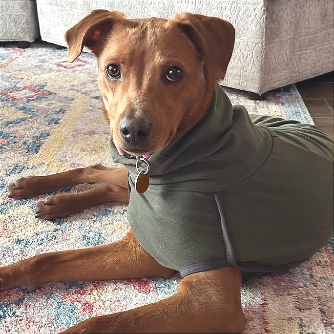 Michi — thumbnail 5