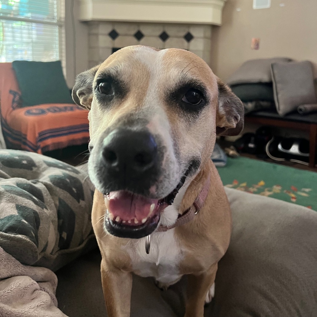 Libby, photo 7