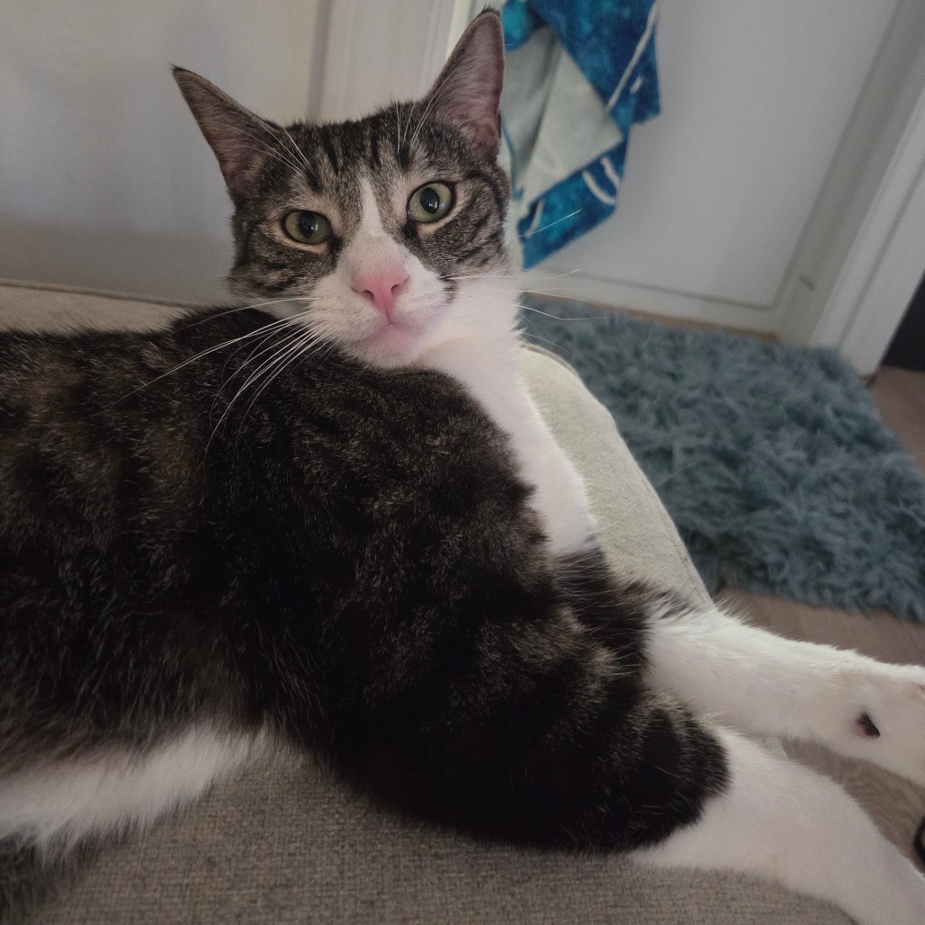 Carl