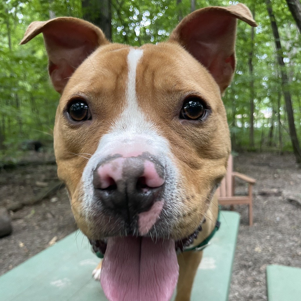 Milo