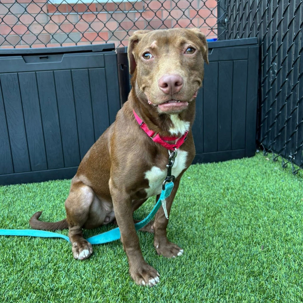 Photo of Starcraft 8