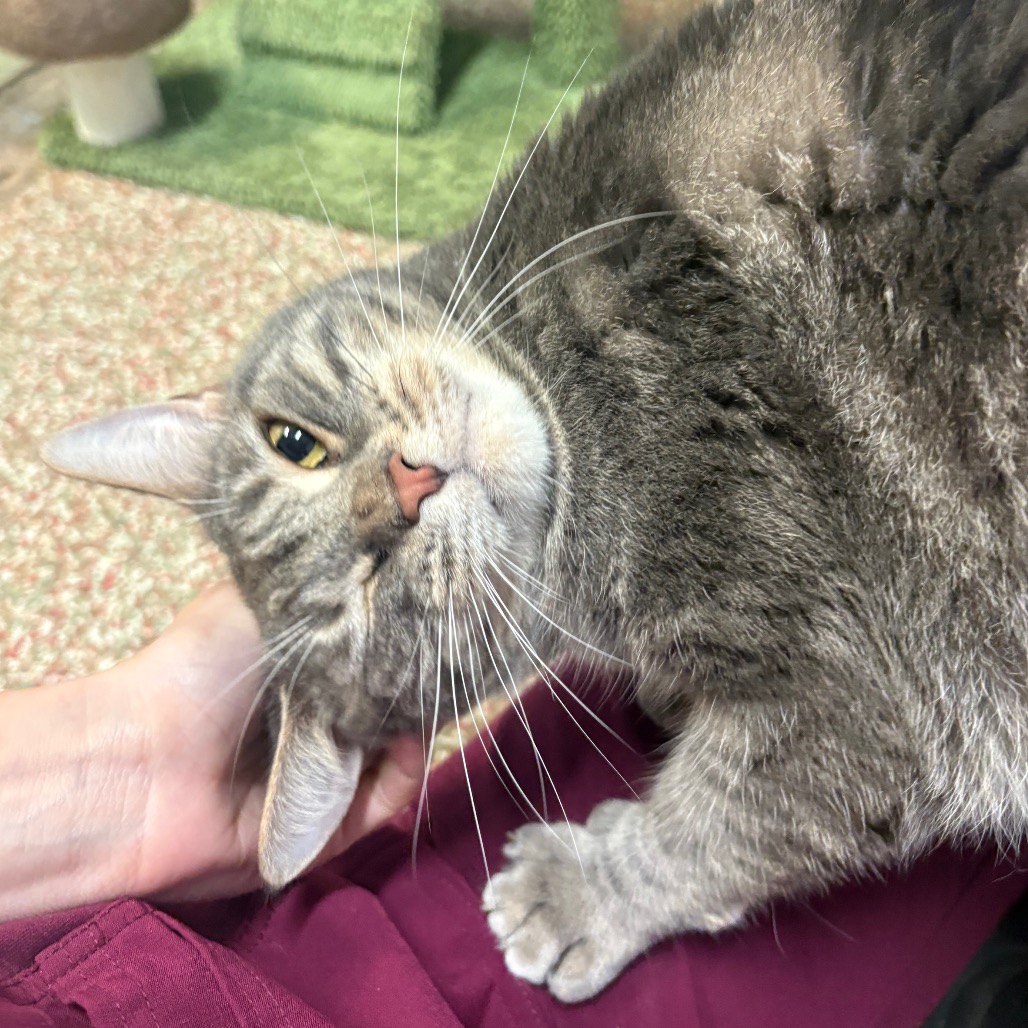 Photo of Huggy Wuggy playing