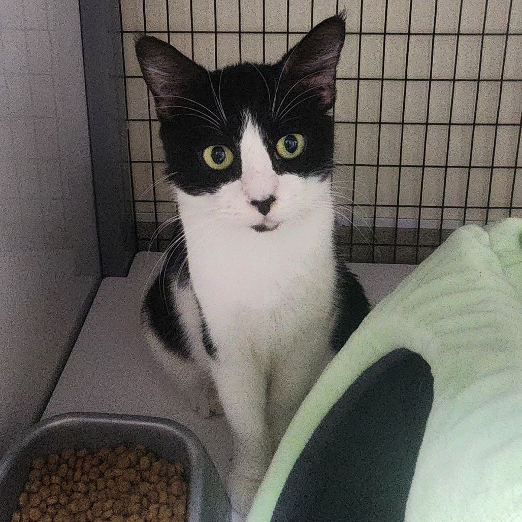 A#89 Ember's preview photo