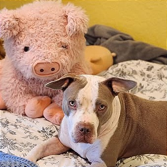Photo of Mia (Sheila)