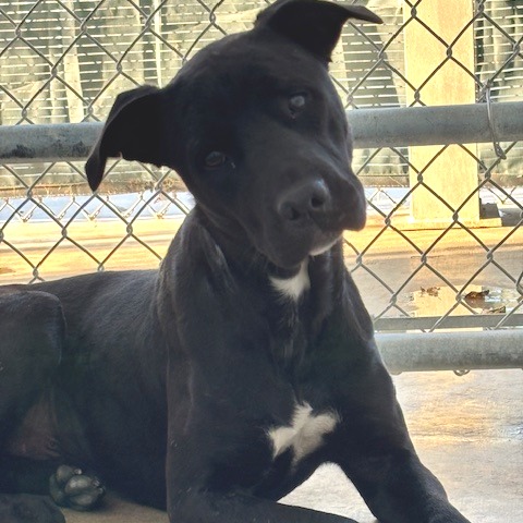 Celebrity Sighting — thumbnail 8