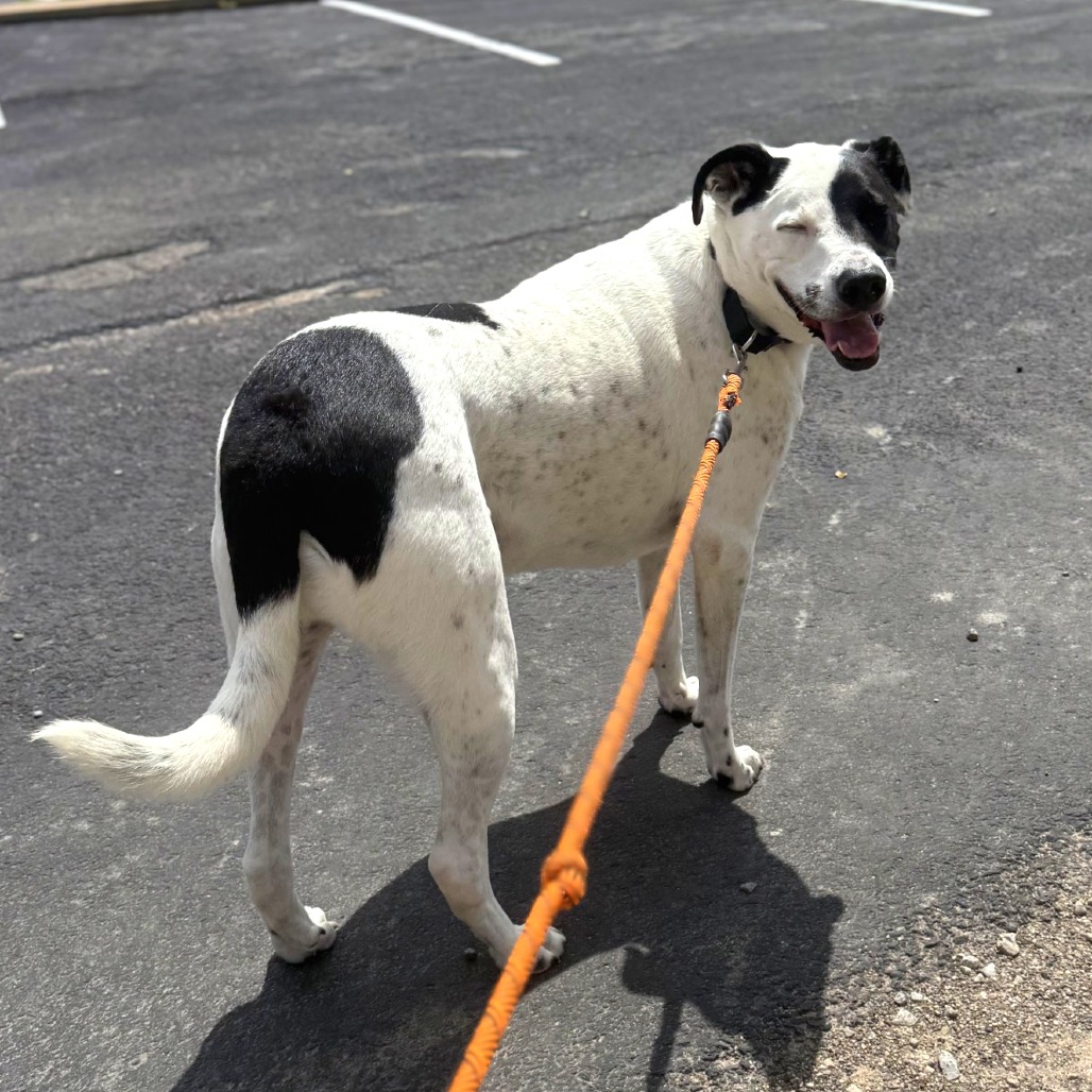 Photo of Buddy 7