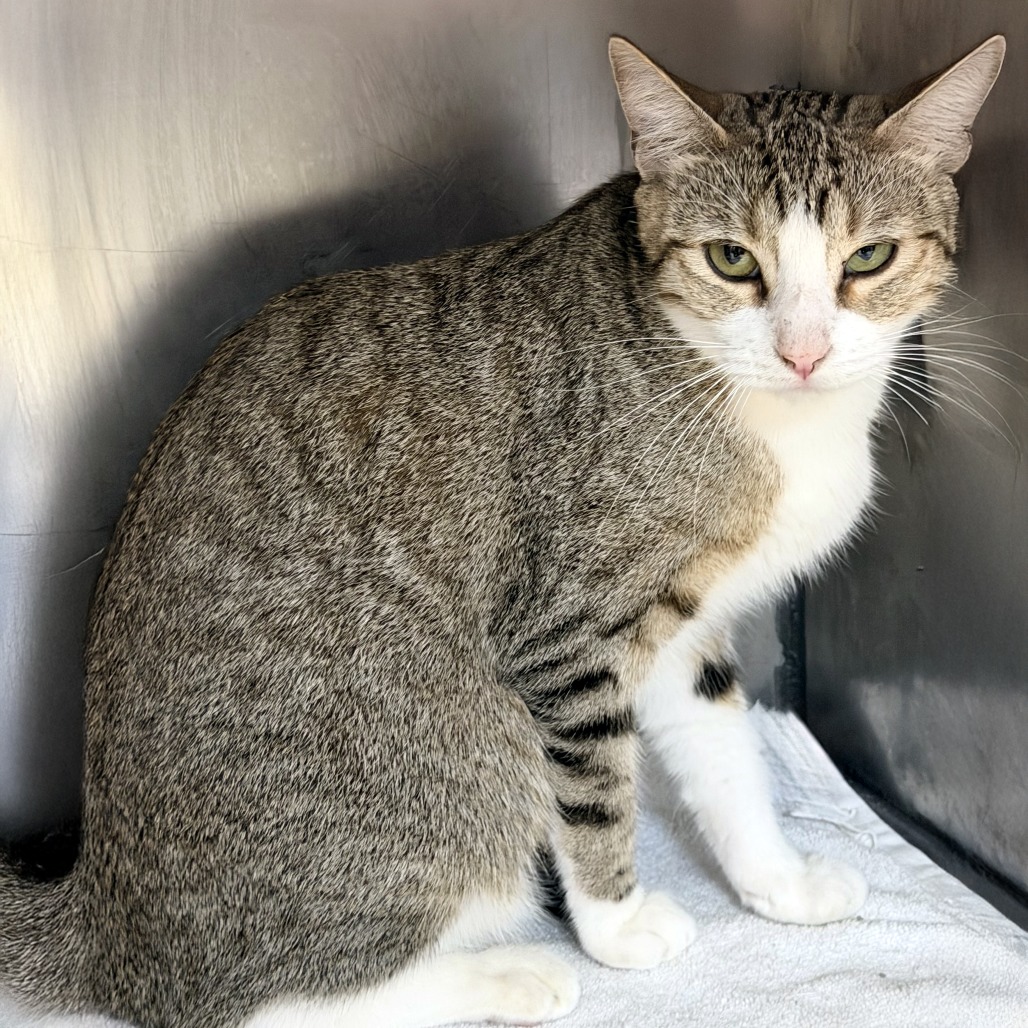 Dear April — thumbnail 4