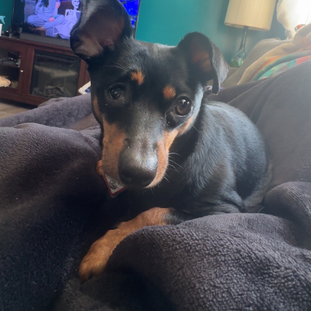 Daisy-In Foster — thumbnail 9