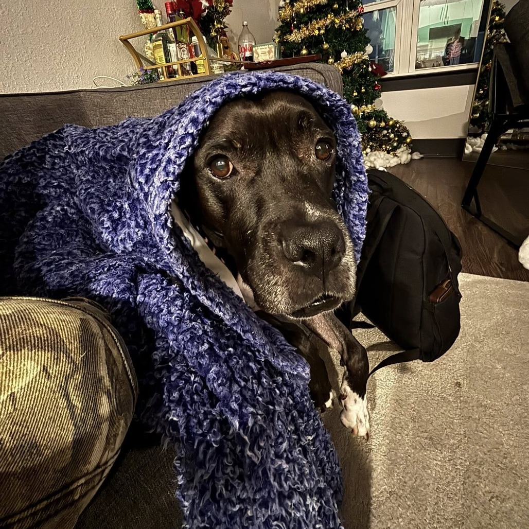 Frank, photo 5