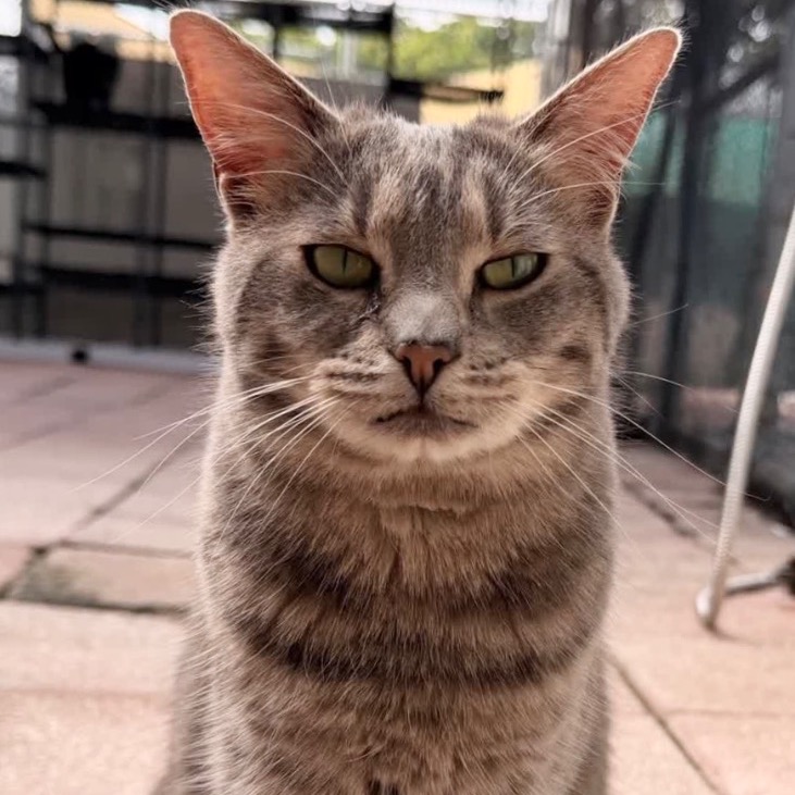 Another portrait of Avalon