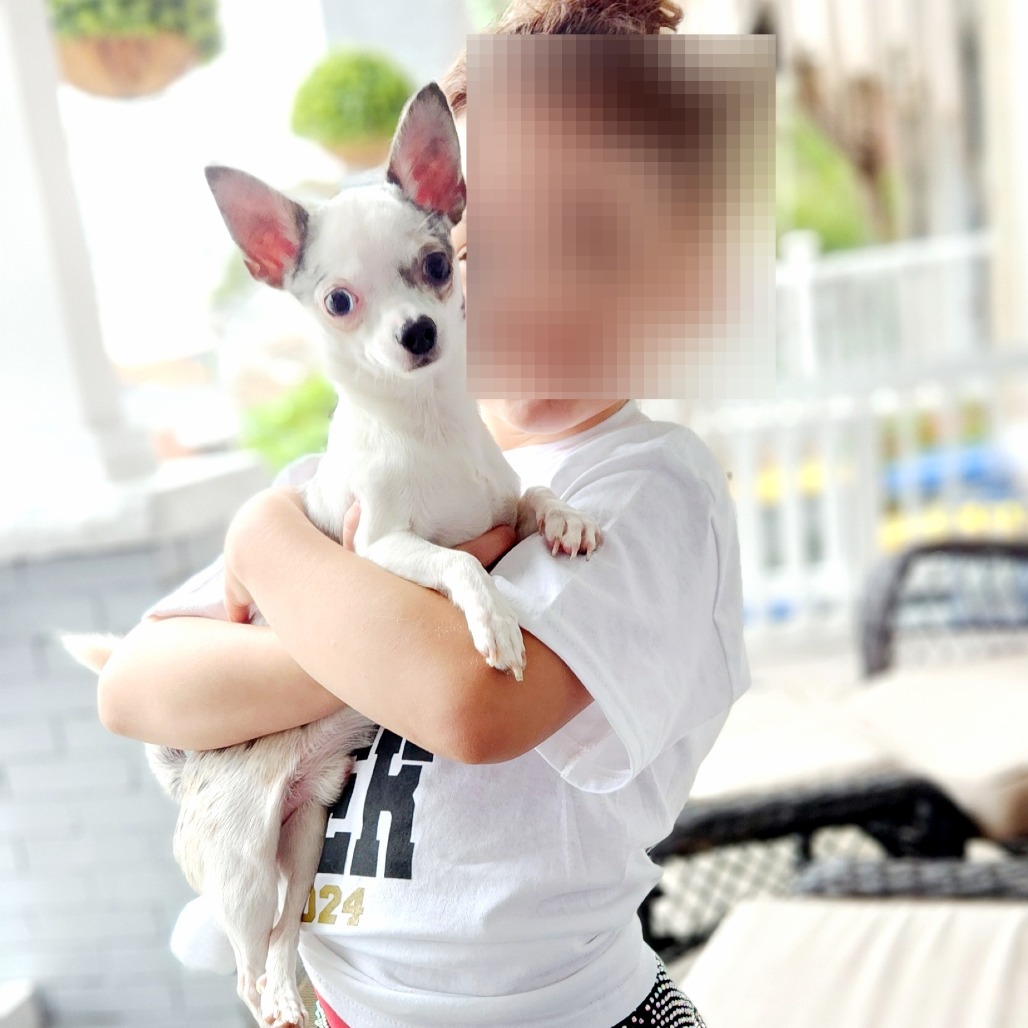 Photo of Jack 3