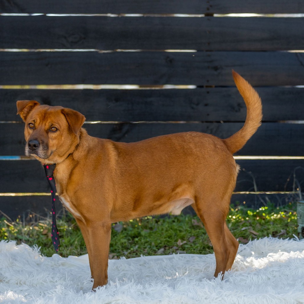 Photo of Spike "Riley"