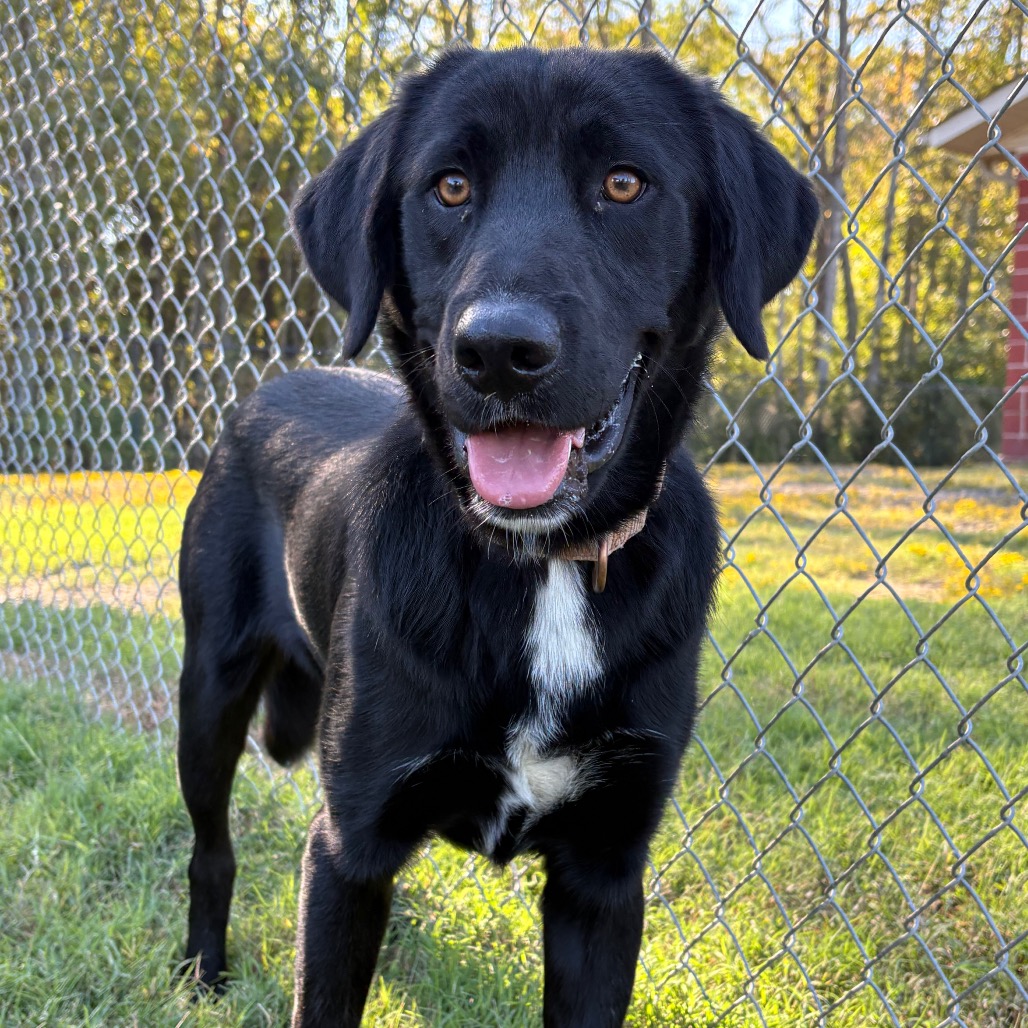 Ernie, photo 5