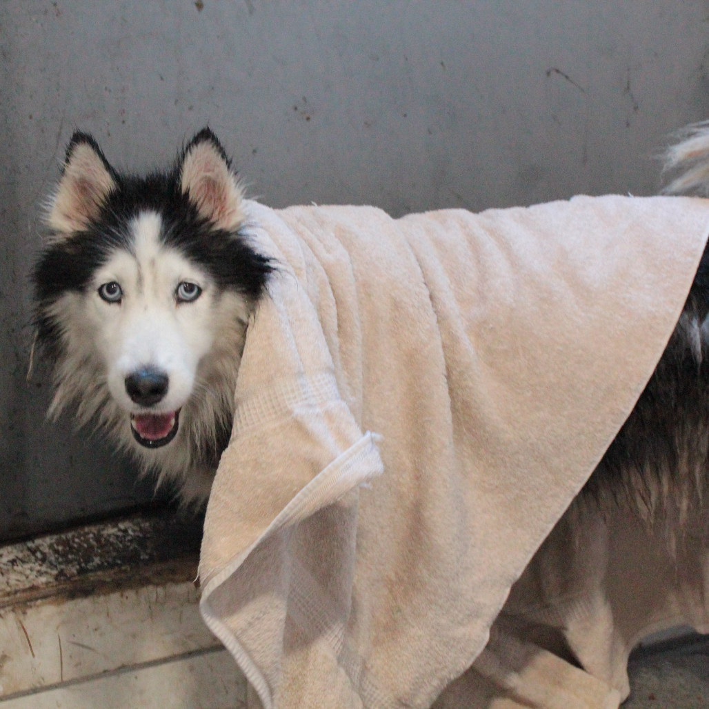 Camilla — thumbnail 4