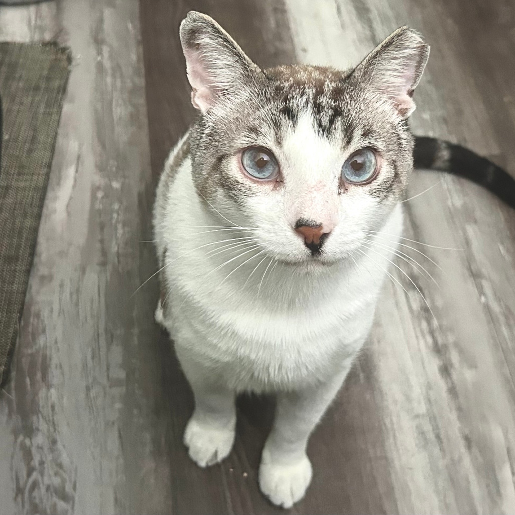 Arlo, photo 14