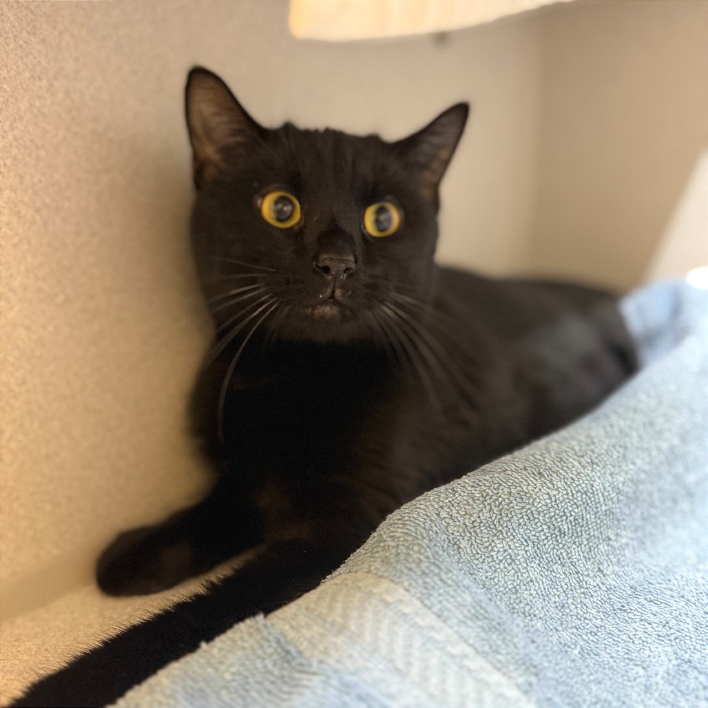 Photo of Uncle Sheetz 3