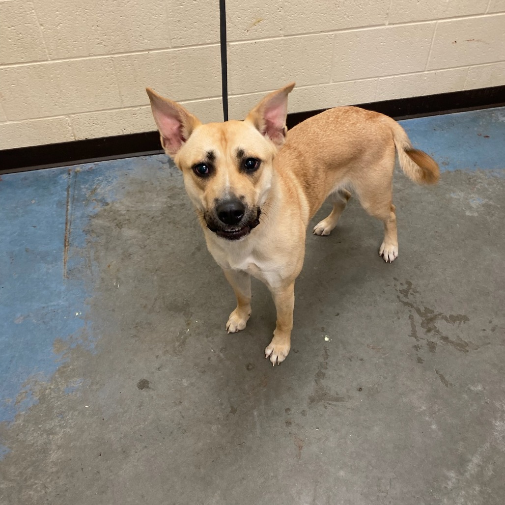 Kiana Lede — thumbnail 3