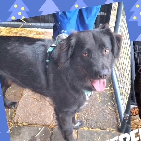 Edwin — thumbnail 2