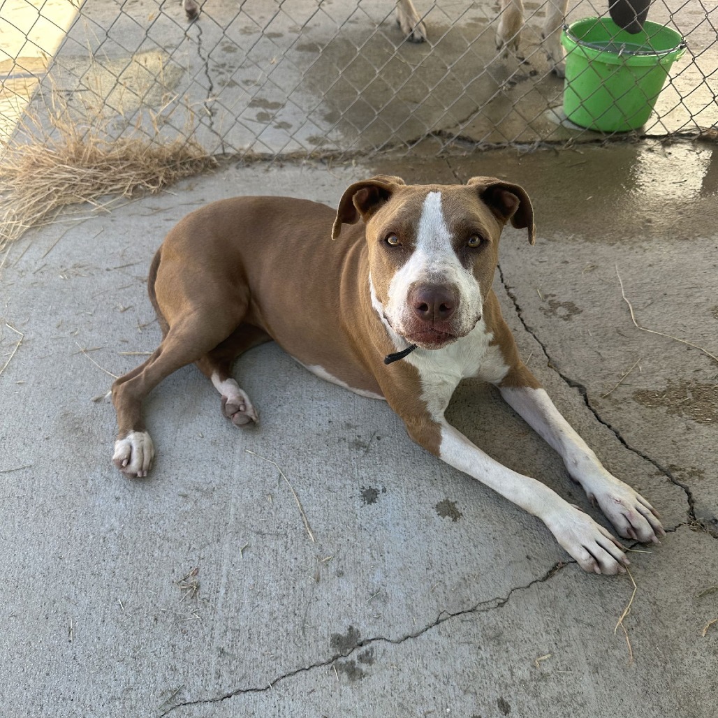 Donna Barkin — thumbnail 2